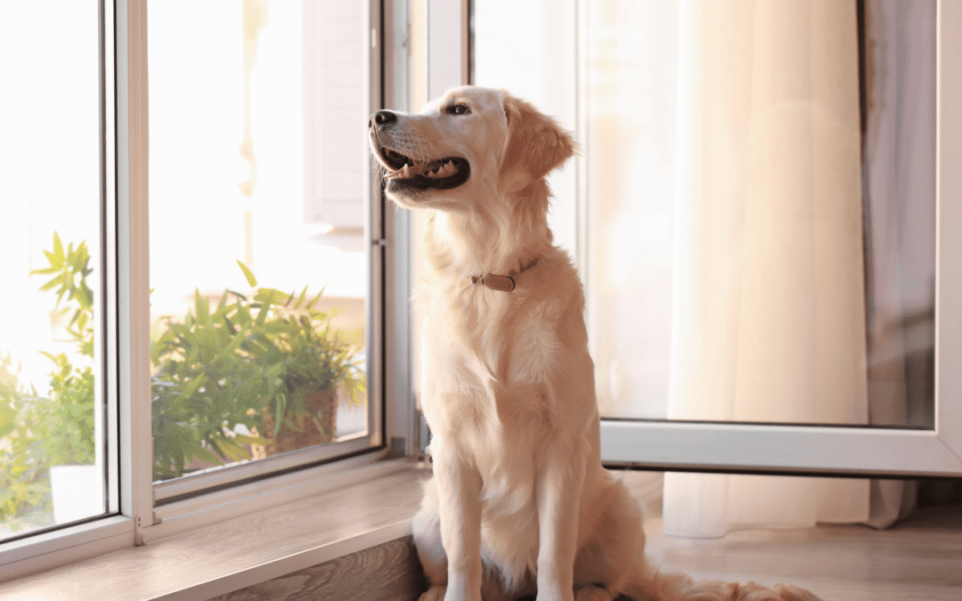 How to Keep Your House Cool This Summer Without Breaking the Bank