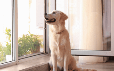 Comment garder votre maison fraîche pendant l&rsquo;été sans faire exploser votre facture d&rsquo;énergie ?