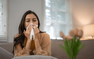 How to improve indoor air quality this summer?